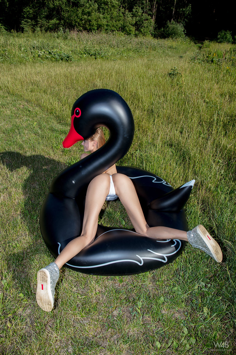 Nancy A Black Swan