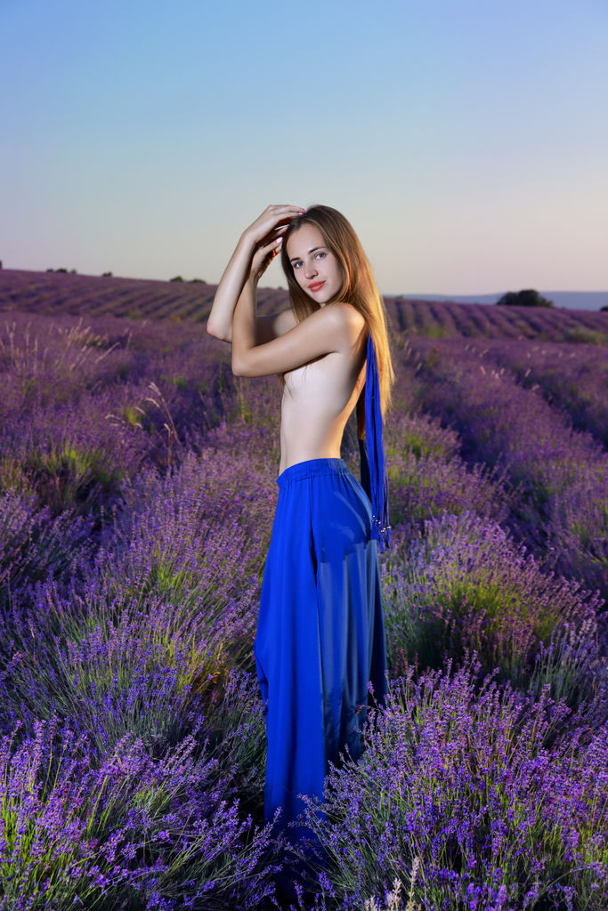 Hailey Lavender Love