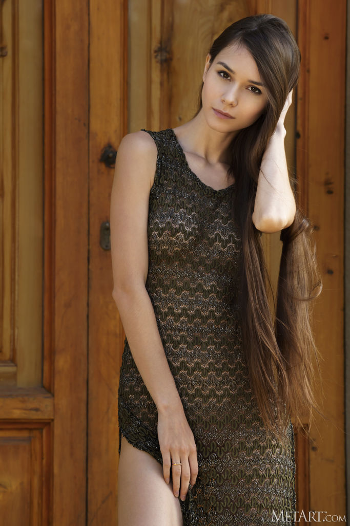 Leona Mia Sheer Dress